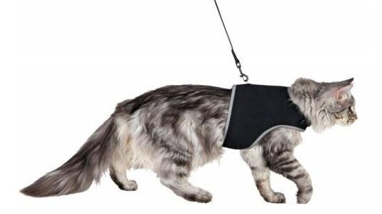 Comment choisir la taille du harnais ?