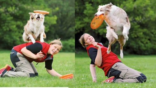 Le frisbee ! Bien plus qu'un jouet pour chien !