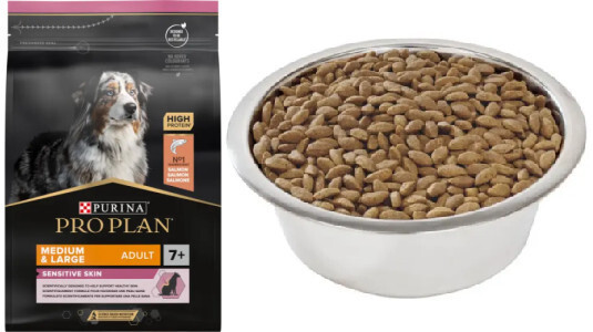 Les croquettes au saumon sont-elles aussi efficaces ?