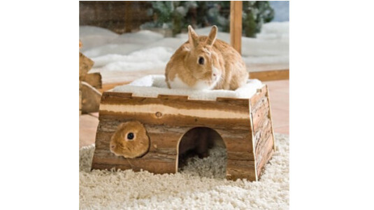 Y a-t-il un danger si mon lapin mange le bois ?