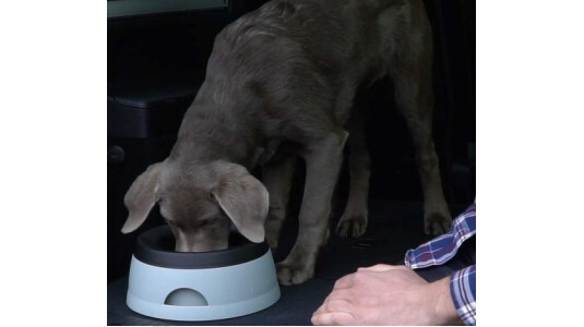 La gamelle anti reversement par excellence