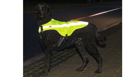 Quels sont les critères pour un gilet jaune ?