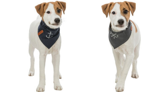 Le bandana personnalisé pour chien