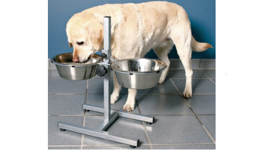 À quelle hauteur surélevée la gamelle de son chien ?