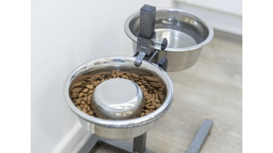 Existe-t-il une gamelle surélevée pour chien glouton ?