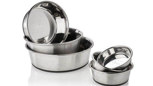Pourquoi choisir une gamelle en inox pour son chien ?