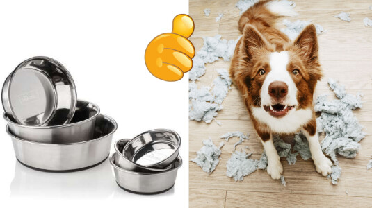 Votre chien détruit ? Renverse sa gamelle... L'inox est la solution !
