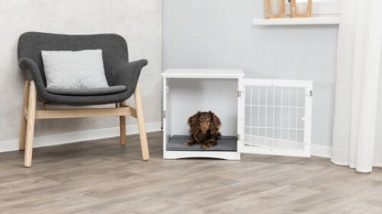 Une niche pratique d'intérieur que votre chien