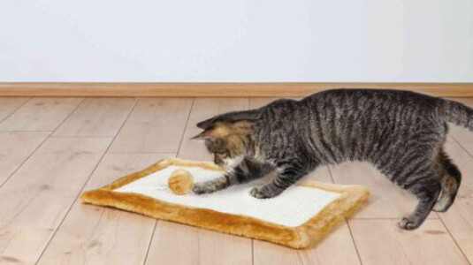 Le tapis une solution efficace comme lime griffe !