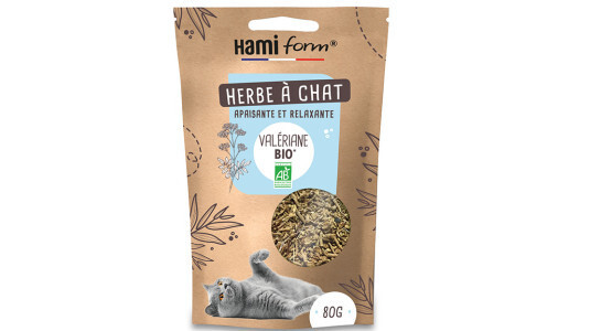 La valériane comme attractif pour chat