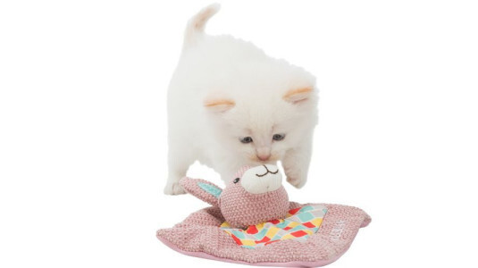 Le coussin à la valériane stimule le jeu !