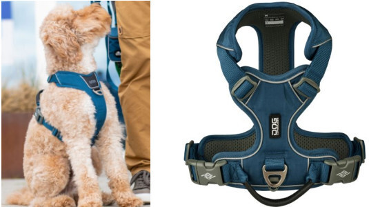 Pourquoi un harnais en Y ?