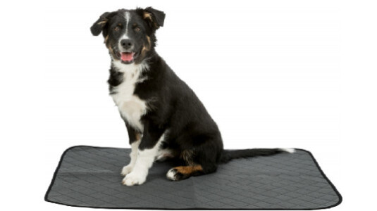 Tapis de propreté pour l’éducation de votre chien