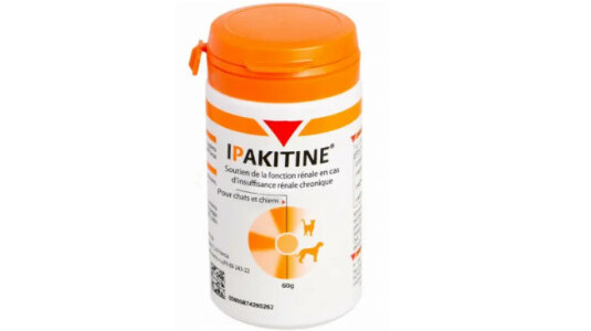 Pendant combien de temps donner les croquettes rénales à son chat ?