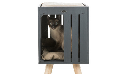 Existe-t-il un couchage en hauteur pour un chat ?