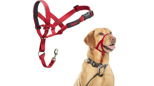 La gamme Pro Halti est recommandée par tous les éducateurs Canin !