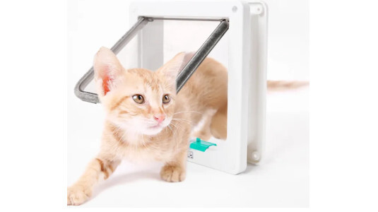 Comment habituer votre chat à la chatière ?