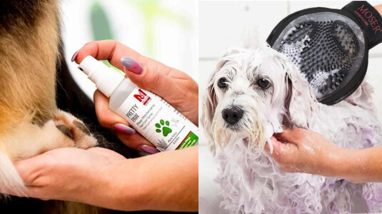 Accessoires de Toilettage Moser pour chien et chat