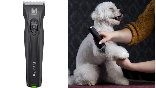 Quelle puissance pour une tondeuse pour chien ?