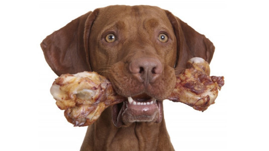 Quels sont les critères d'une friandise naturelle ?