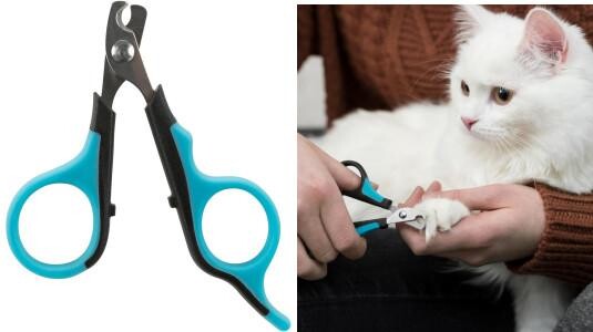 Coupe-Ongles Ciseaux pour Chat : Parfait pour Chats Adultes avec Griffes Épaisses