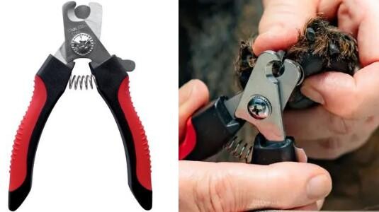 Coupe-Ongles à Pince pour Chat : Idéal pour Chats Actifs et Agités