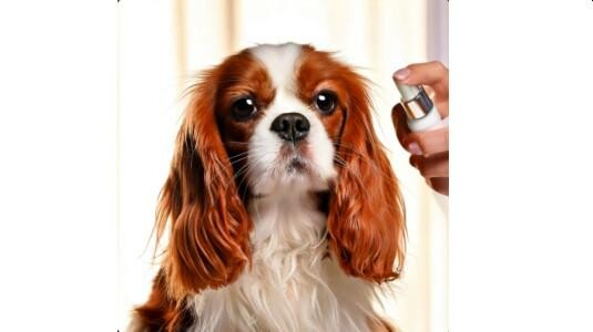 Les Parfums gourmands pour Chiens affectueux
