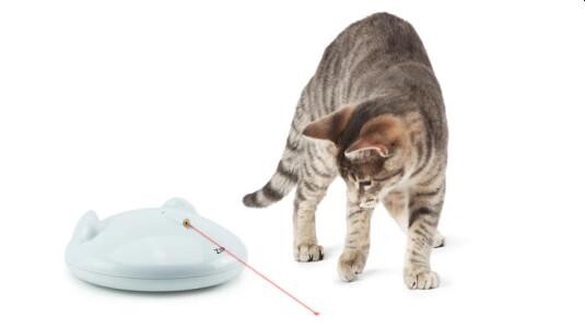 Un jeu anti-stress pour chat : Le laser, un moyen de réduire l’anxiété