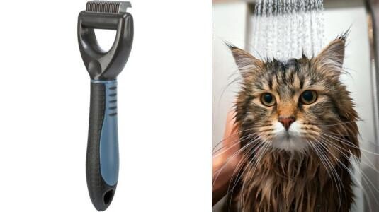 Comment enlever un nœuds sur un chat ?