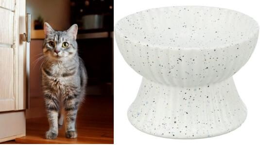 Quelles sont les meilleures gamelles pour chat ?