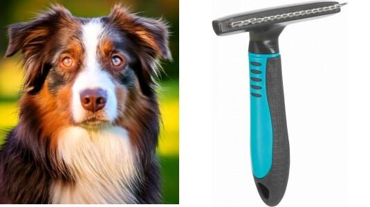 Quelle étrille pour un chien à poils longs ?