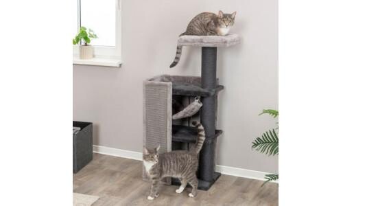 Comment choisir un arbre à chat ?