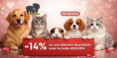 Animalerie en ligne