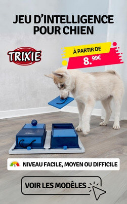Jeu d'intelligence pour chien