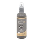 Shampoing sec pour chien