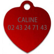 Quick Médaille Cœur rouge small avec gravure