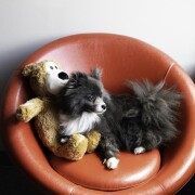 Jouet KONG Wild Knots Ours