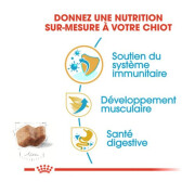 Croquettes Boxer puppy