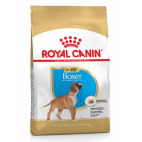 Royal canin boxer