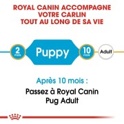 ROYAL CANIN Croquettes Carlin puppy