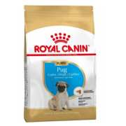 Croquettes Carlin puppy