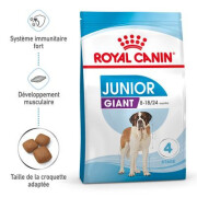 Croquettes Giant Junior