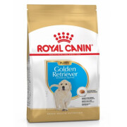 Croquettes Golden Retriever puppy