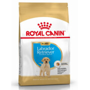 Croquettes Labrador Retriever Puppy