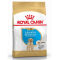 Croquettes labrador royal canin