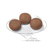 Croquettes Medium Puppy