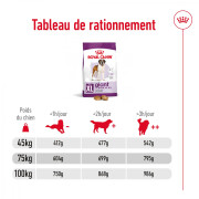 ROYAL CANIN Croquettes Giant Adult