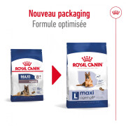ROYAL CANIN Croquettes Maxi Ageing 8+