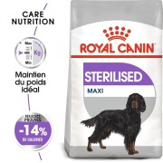 ROYAL CANIN Croquettes Maxi Sterilised