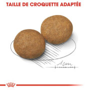 Croquettes Medium Adult